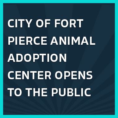 Newsflash_Animal-Adoption-banner