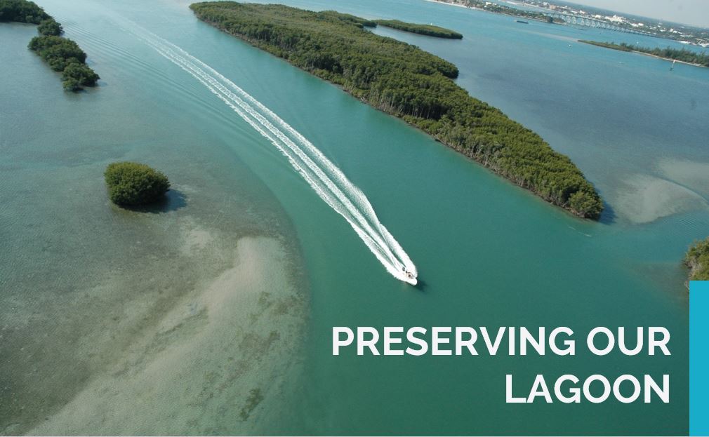 Preserving Our Lagoon 